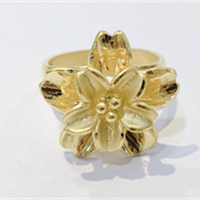 Nhẫn charm 24K